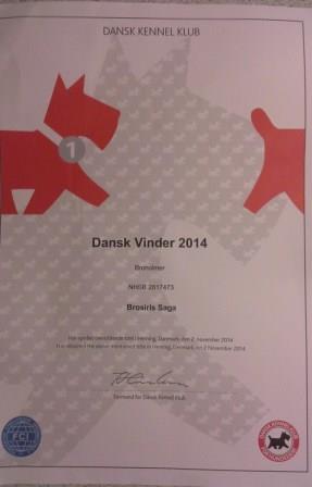 DanskVinder2014
