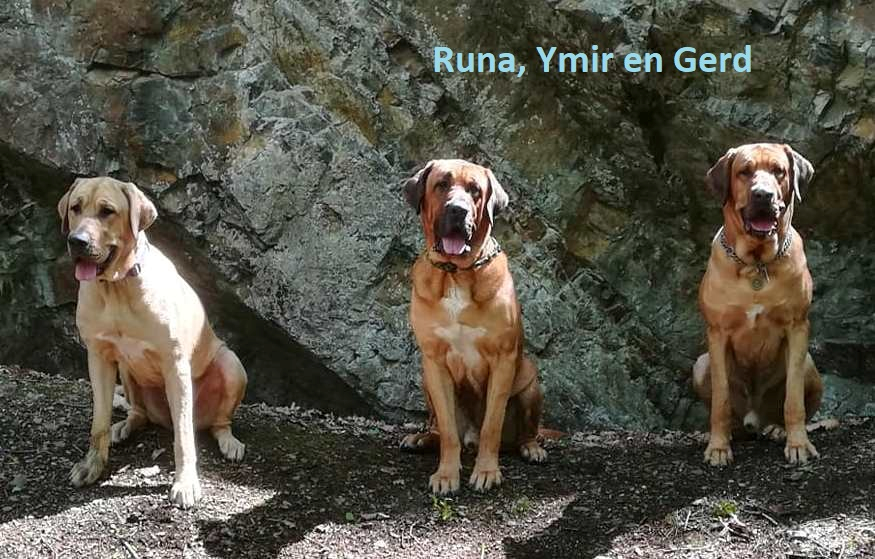 Runa, Ymir en Gerd