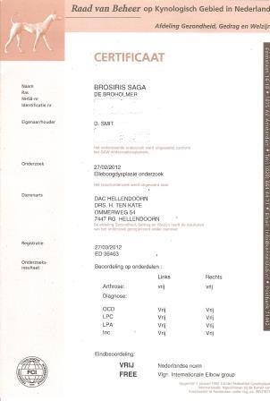 ED_Saga